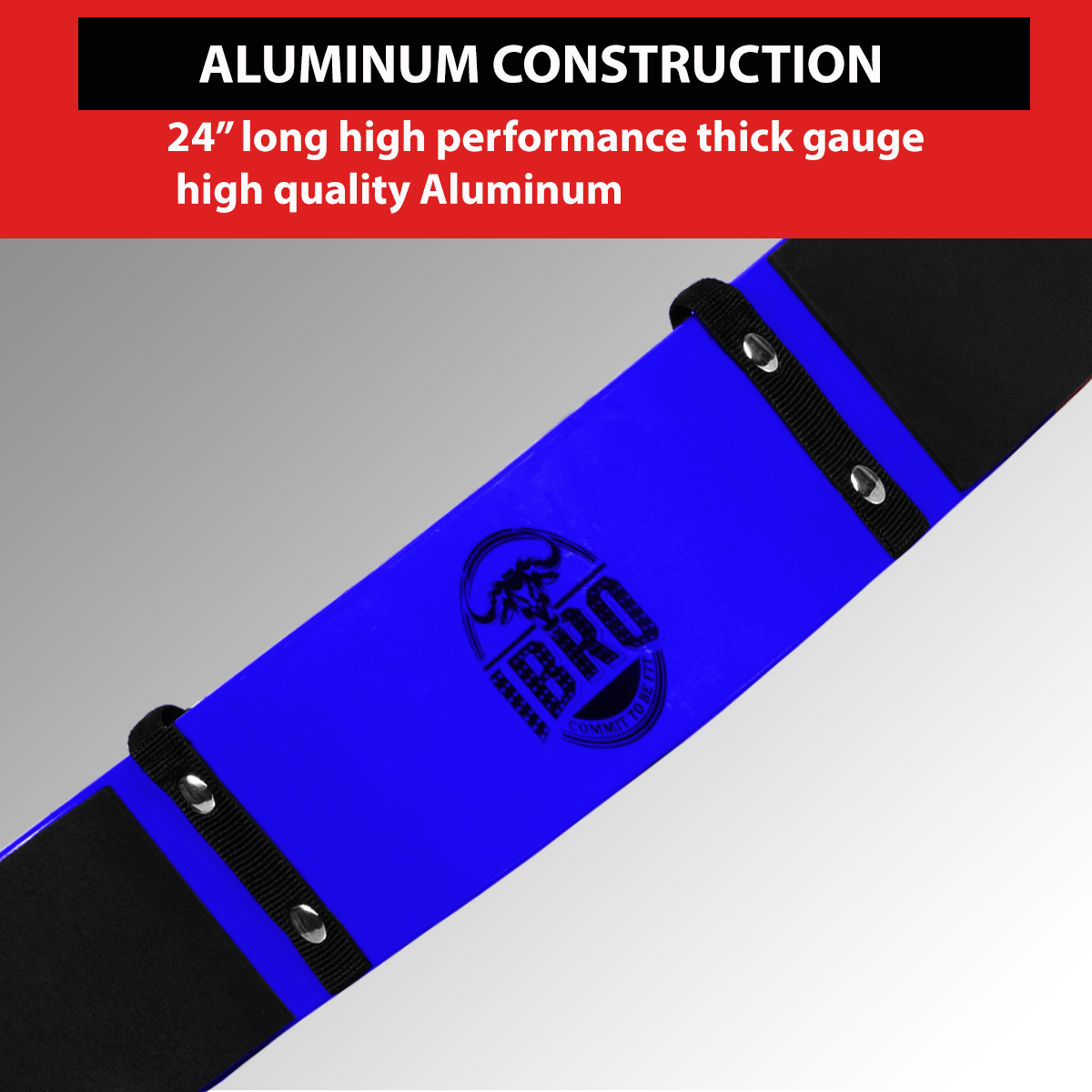 IBRO Curl Bar Arm Blaster for Biceps Triceps Forearms | Preacher Isolator Curls | Strength Muscle for Bodybuilding Gym Fitness Blue